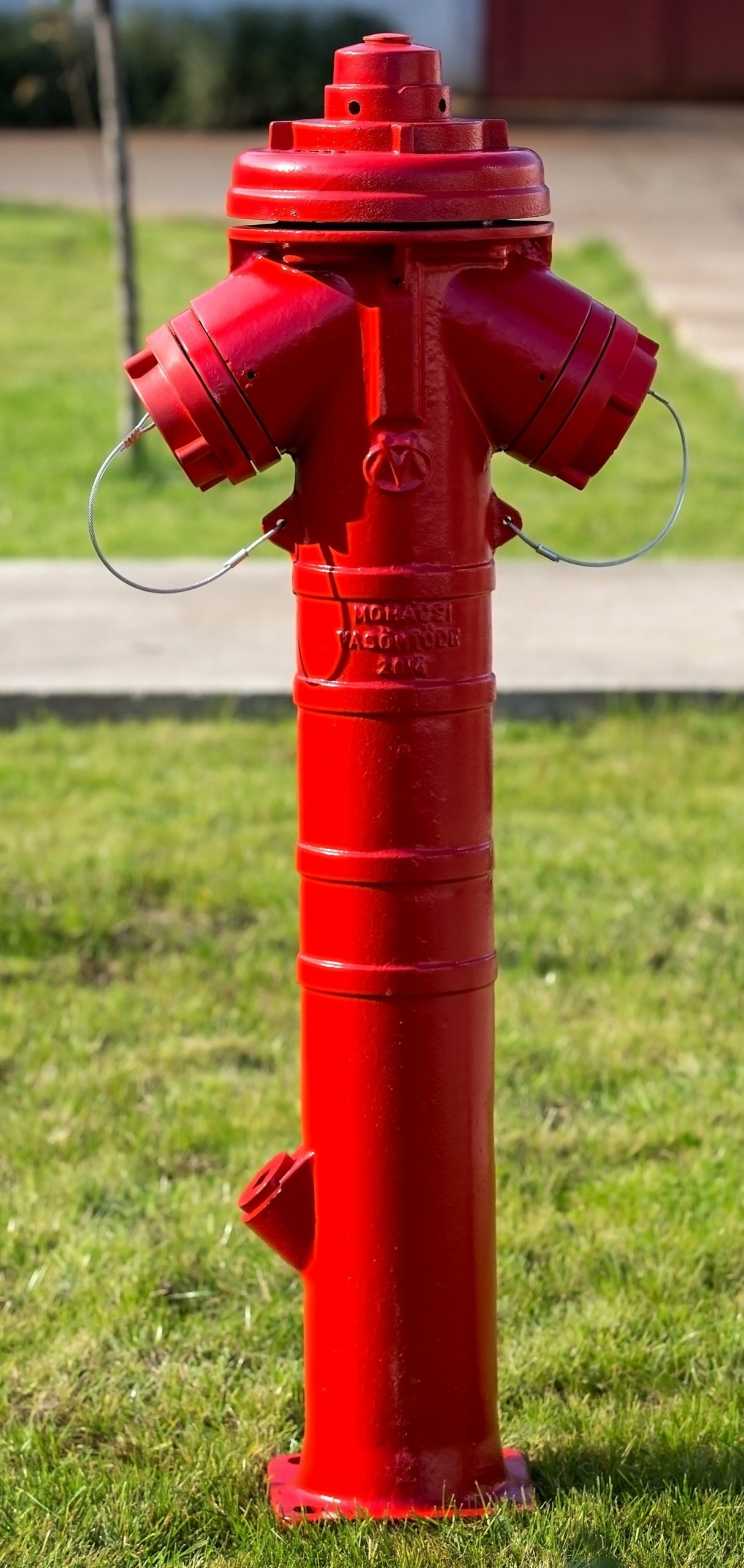 WHAT'S GOING ON HERE? Coloured rings on Fort Erie's fire hydrants